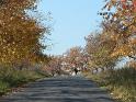 PIC00074