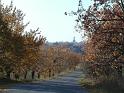 PIC00075