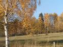 PIC00120