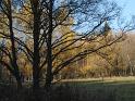 PIC00121