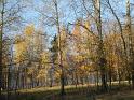 PIC00123