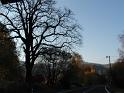 PIC00152